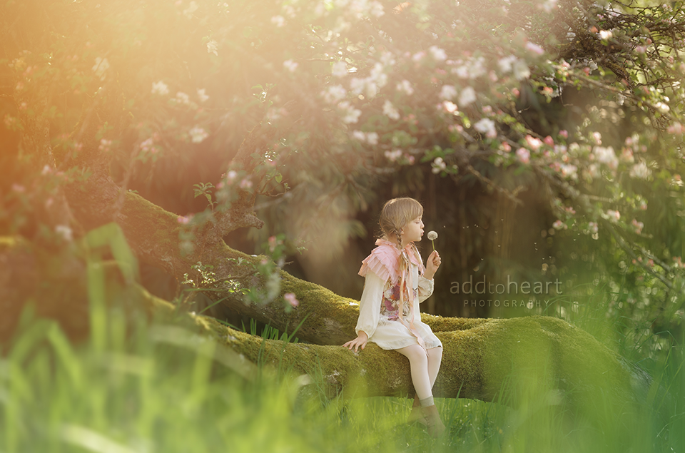 Laura Zander was a finalist in Win 5 Beautiful Dresses from Savvy's Closet