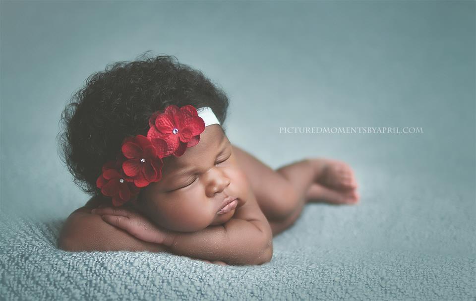 April Humphrey was a finalist in Subscription to Animoto and NBP