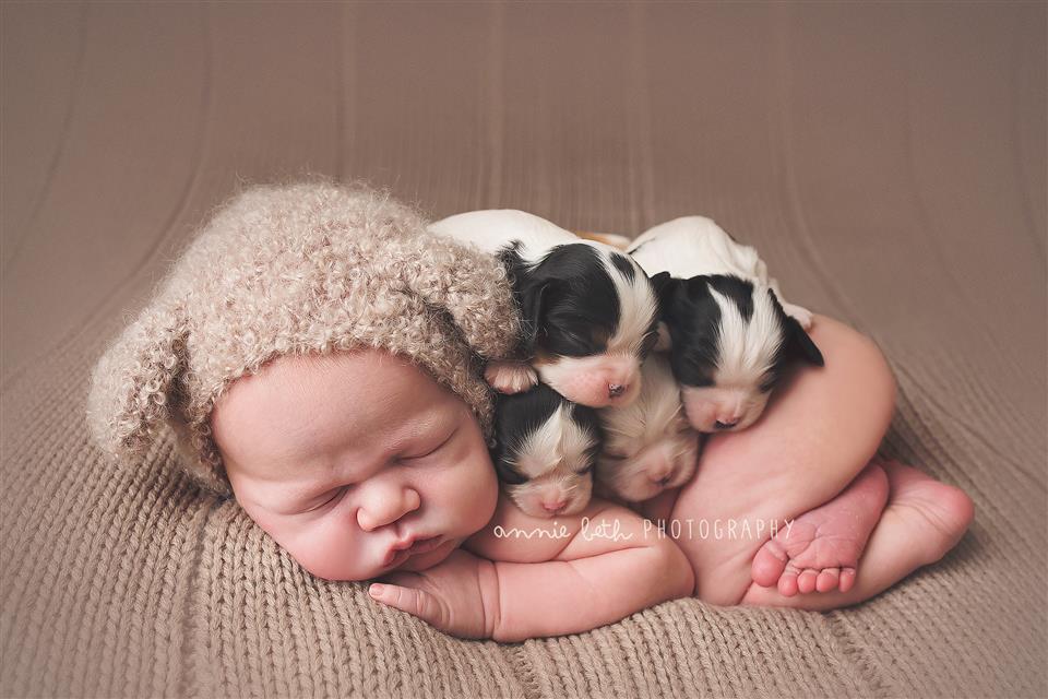 Annie Wolny was a finalist in Win a 1-Year Subscription to Sprout Studio