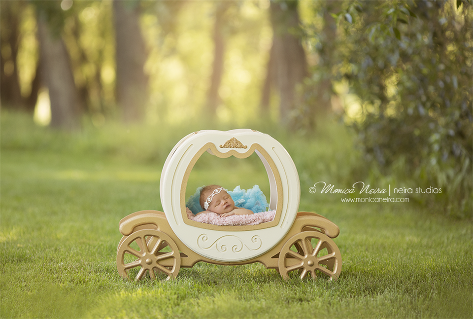 Monica Neira was a finalist in Win Keri Meyer's Newborn Posing Video