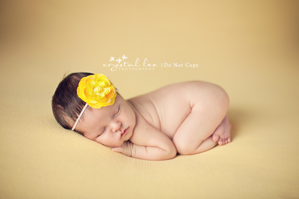 newborn photography community critique photo submitted by Crystal Small - 8 community members set this photo as a favourite image.