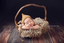 Crystal Small newborn photography