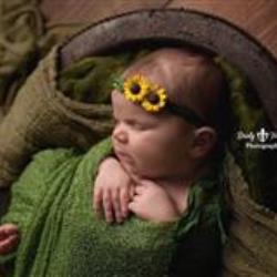 Dristy Foret Newborn Photographer - profile picture