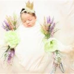 Erika Ramirez Newborn Photographer - profile picture