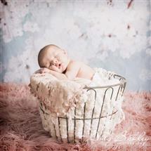 Amy Beckley newborn photography