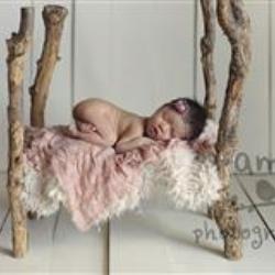 Amber Miller Newborn Photographer - profile picture