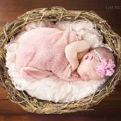 Lauren Kingree Newborn Photographer - profile picture