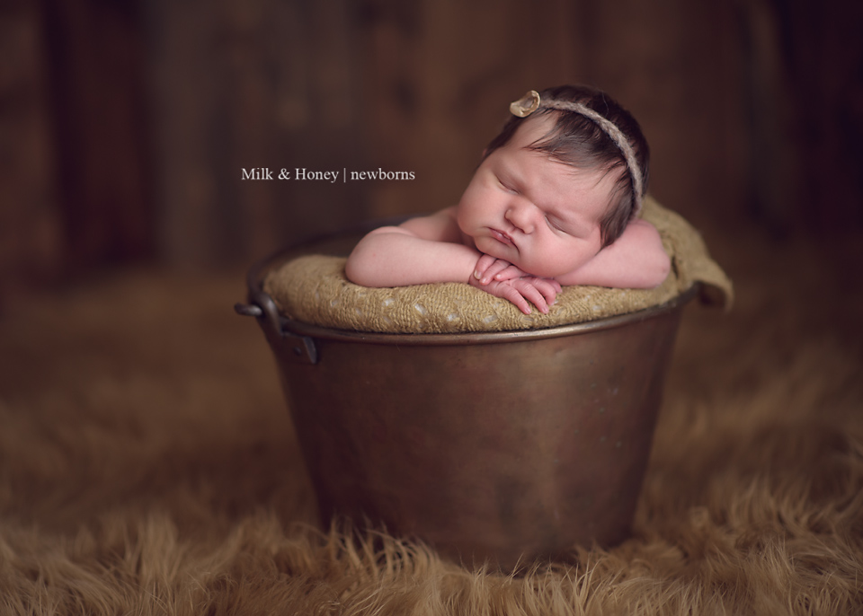 newborn photography community critique photo submitted by Lisa Digeso - 2 community members set this photo as a favourite image.