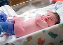 Jen Durst newborn photography