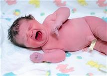 Jen Durst newborn photography