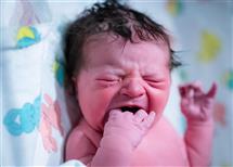 Jen Durst newborn photography