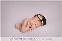 Anne Wilmus newborn photography