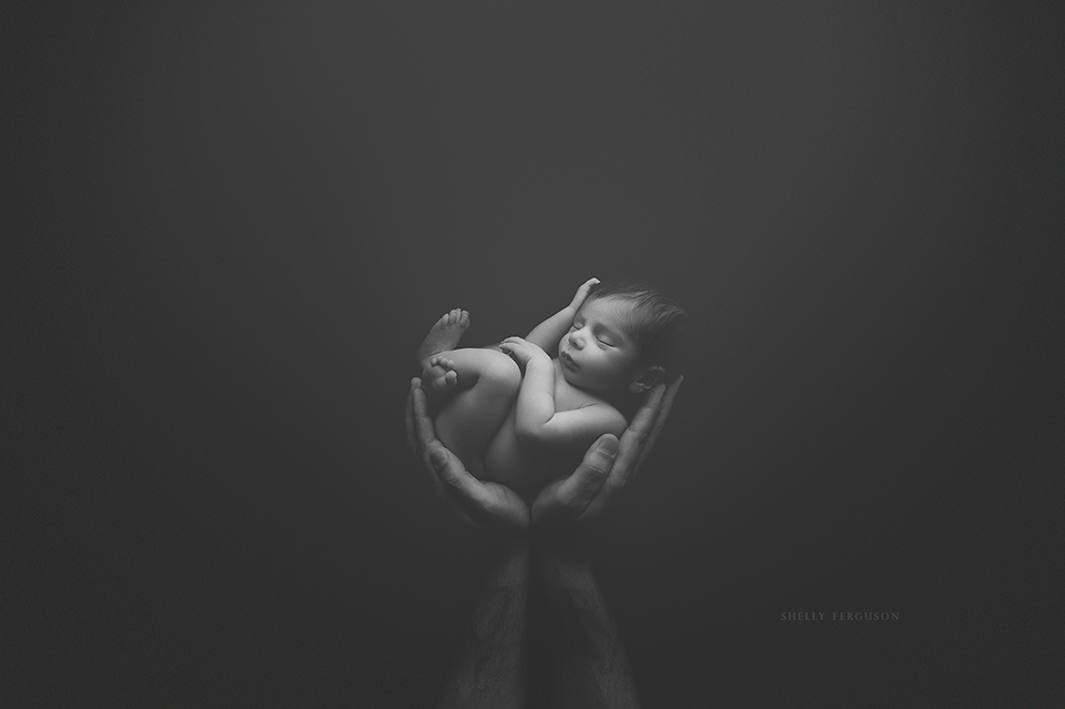 newborn photography community critique photo submitted by Shelly Ferguson - 5 community members set this photo as a favourite image.