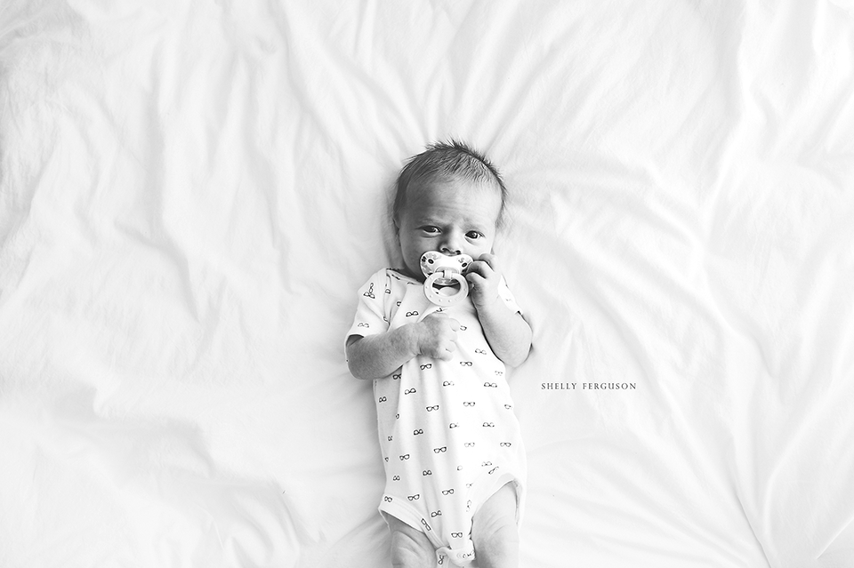 newborn photography community critique photo submitted by Shelly Ferguson - 4 community members set this photo as a favourite image.