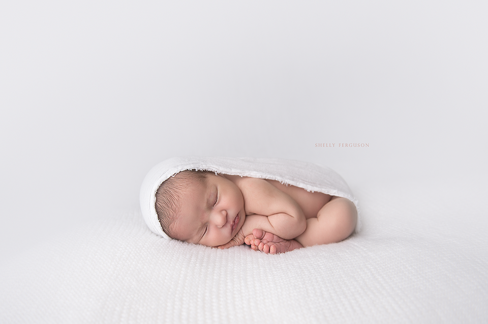 newborn photography community critique photo submitted by Shelly Ferguson - 5 community members set this photo as a favourite image.