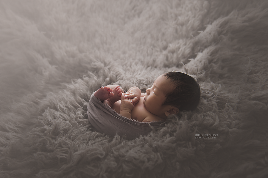 newborn photography community critique photo submitted by Shelly Ferguson - 4 community members set this photo as a favourite image.