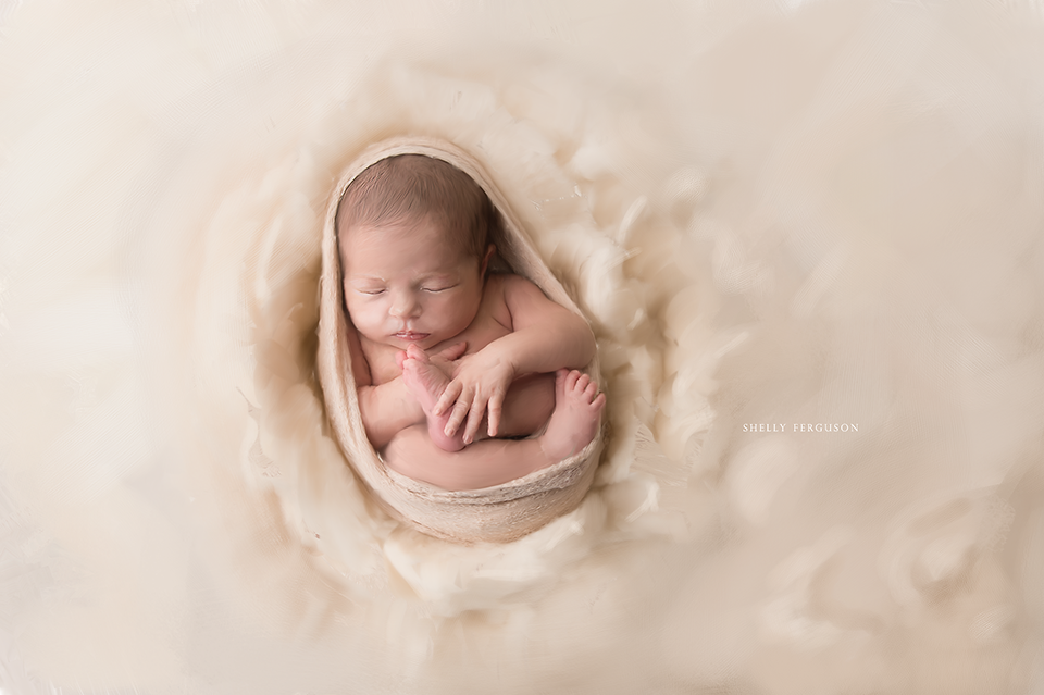 newborn photography community critique photo submitted by Shelly Ferguson - 3 community members set this photo as a favourite image.