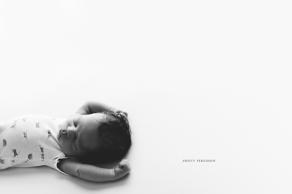 newborn photography community critique photo submitted by Shelly Ferguson - 4 community members set this photo as a favourite image.