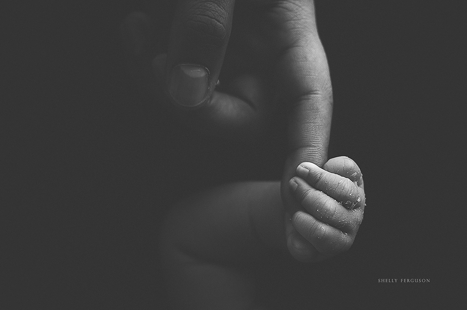 newborn photography community critique photo submitted by Shelly Ferguson - 5 community members set this photo as a favourite image.