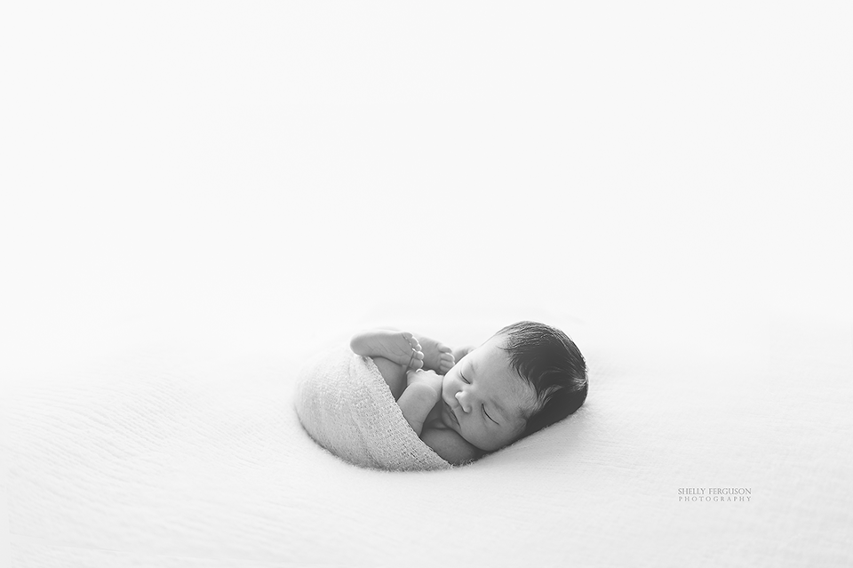 newborn photography community critique photo submitted by Shelly Ferguson - 4 community members set this photo as a favourite image.
