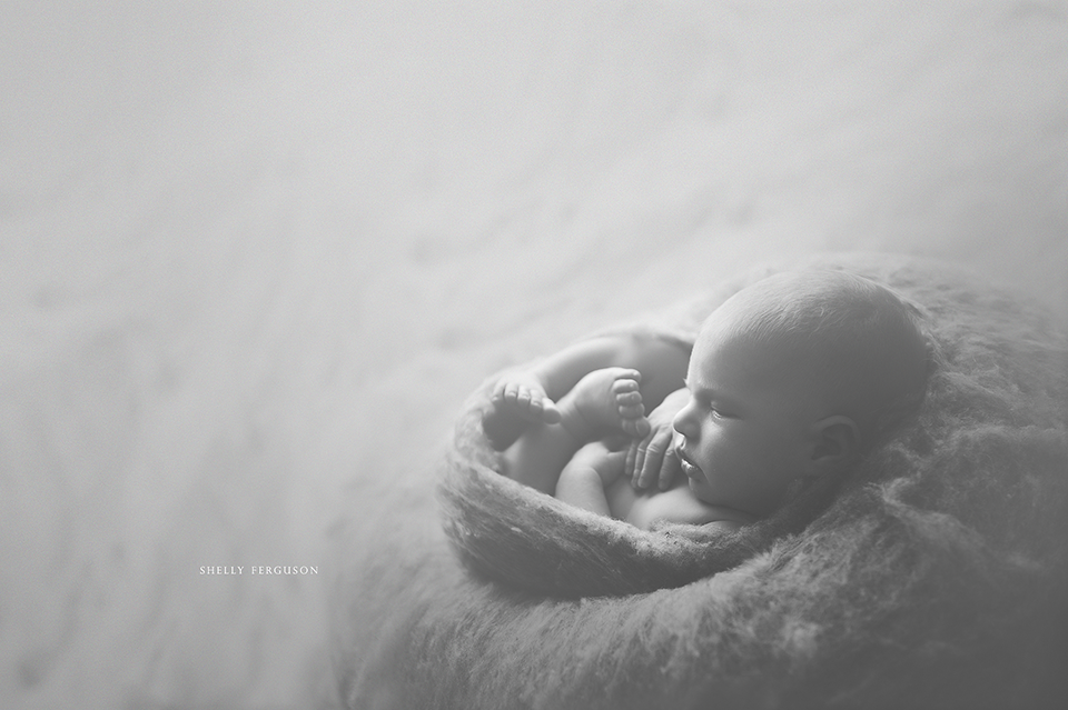 newborn photography community critique photo submitted by Shelly Ferguson - 4 community members set this photo as a favourite image.