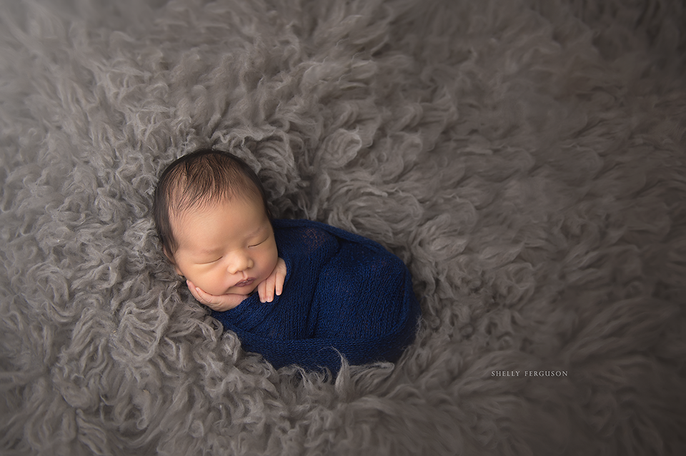 newborn photography community critique photo submitted by Shelly Ferguson - 3 community members set this photo as a favourite image.