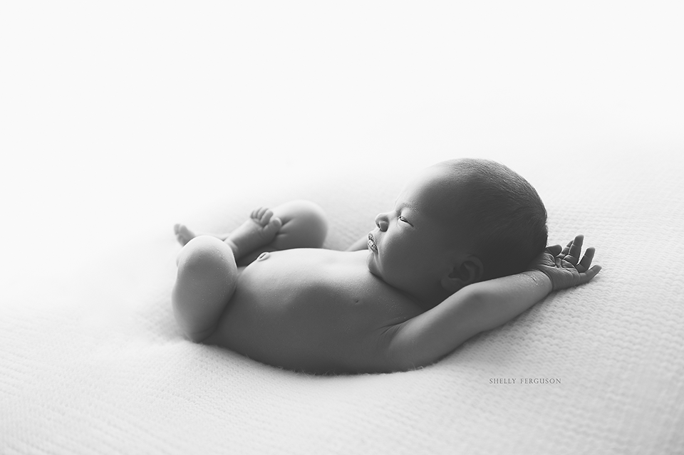 newborn photography community critique photo submitted by Shelly Ferguson - 4 community members set this photo as a favourite image.