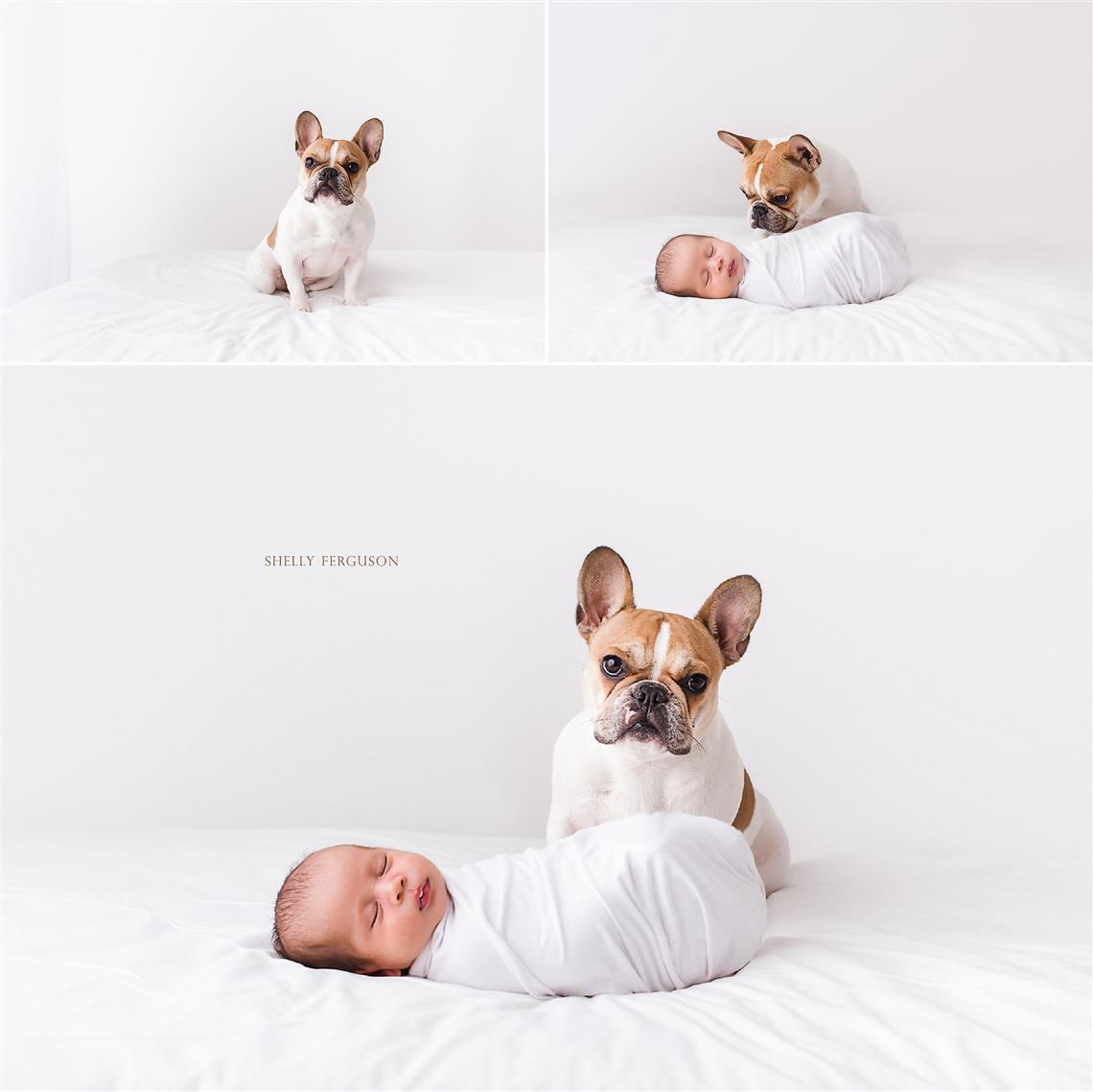 newborn photography community critique photo submitted by Shelly Ferguson - 5 community members set this photo as a favourite image.