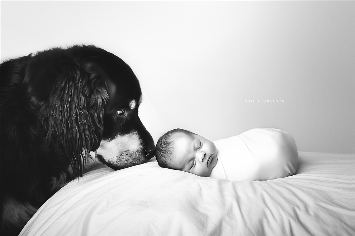 newborn photography community critique photo submitted by Shelly Ferguson - 2 community members set this photo as a favourite image.