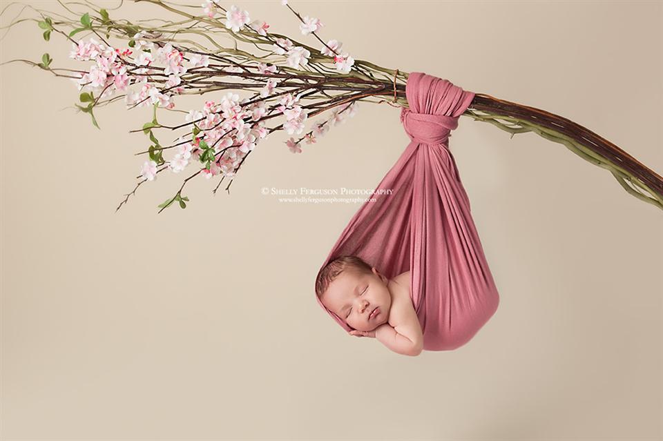 newborn photography community critique photo submitted by Shelly Ferguson - 3 community members set this photo as a favourite image.