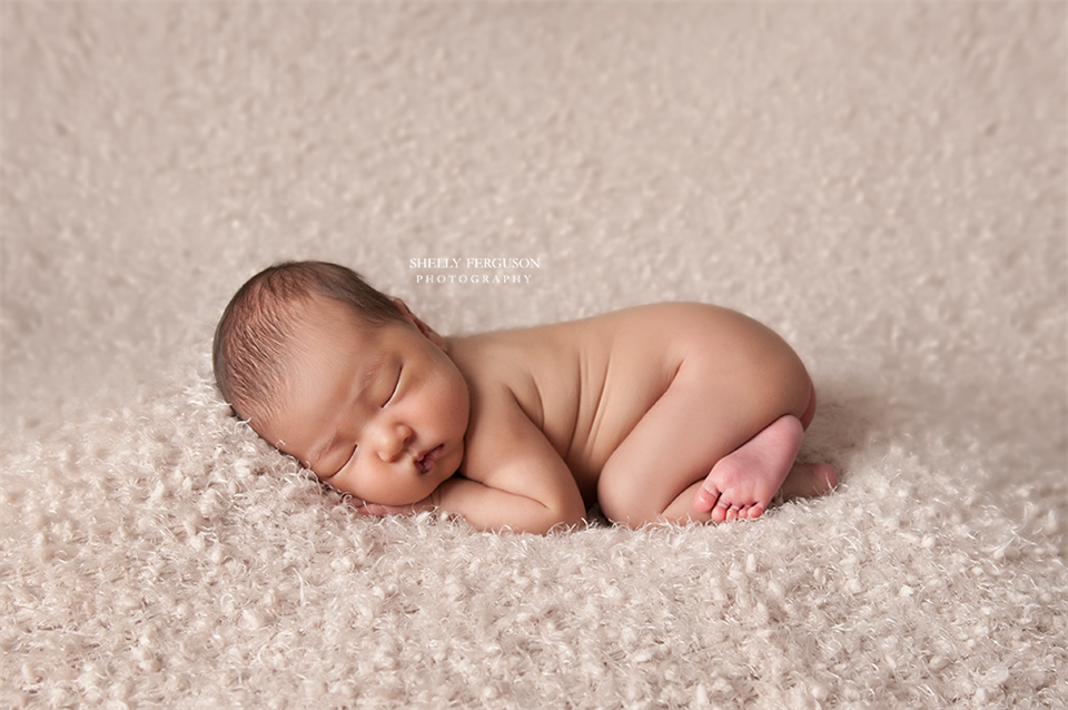 newborn photography community critique photo submitted by Shelly Ferguson - 3 community members set this photo as a favourite image.