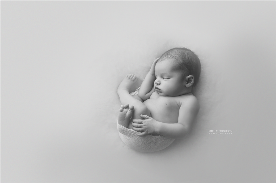 newborn photography community critique photo submitted by Shelly Ferguson - 6 community members set this photo as a favourite image.