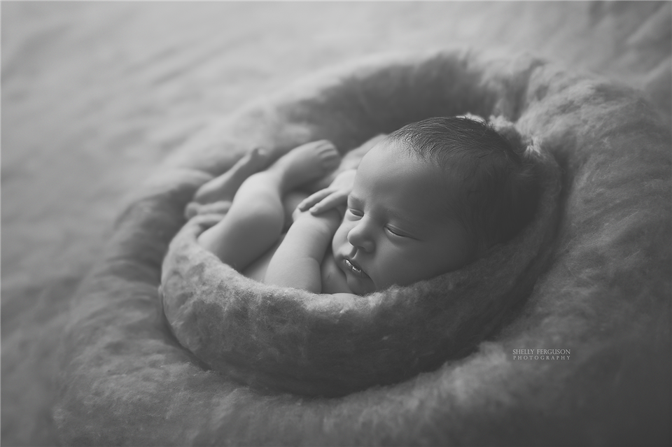 newborn photography community critique photo submitted by Shelly Ferguson - 4 community members set this photo as a favourite image.