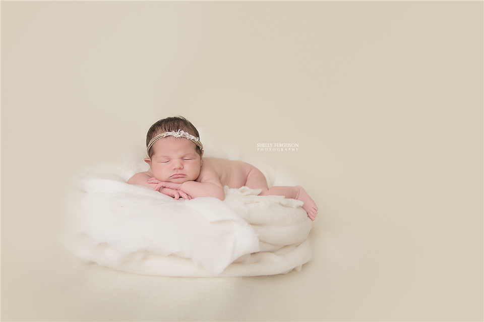 newborn photography community critique photo submitted by Shelly Ferguson - 2 community members set this photo as a favourite image.