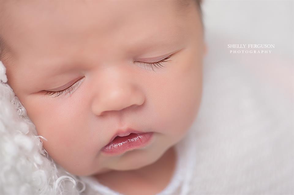 newborn photography community critique photo submitted by Shelly Ferguson - 4 community members set this photo as a favourite image.