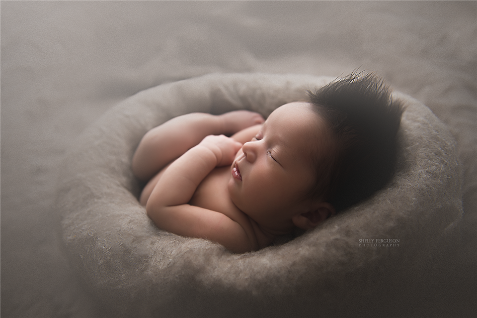 newborn photography community critique photo submitted by Shelly Ferguson - 5 community members set this photo as a favourite image.