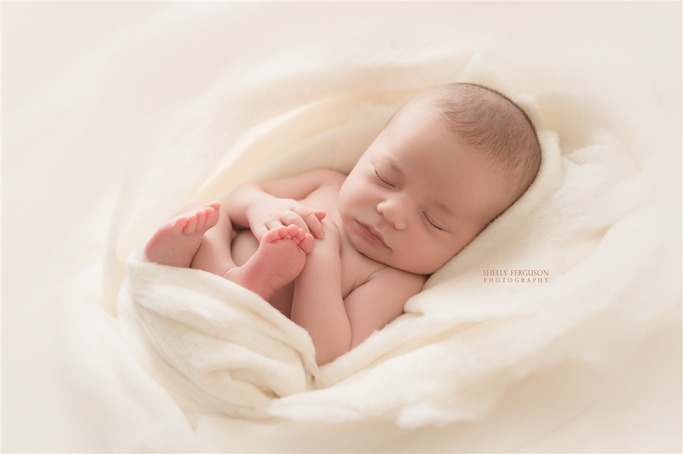 newborn photography community critique photo submitted by Shelly Ferguson - 5 community members set this photo as a favourite image.
