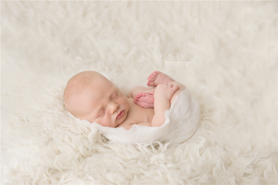newborn photography community critique photo submitted by Shelly Ferguson - 5 community members set this photo as a favourite image.