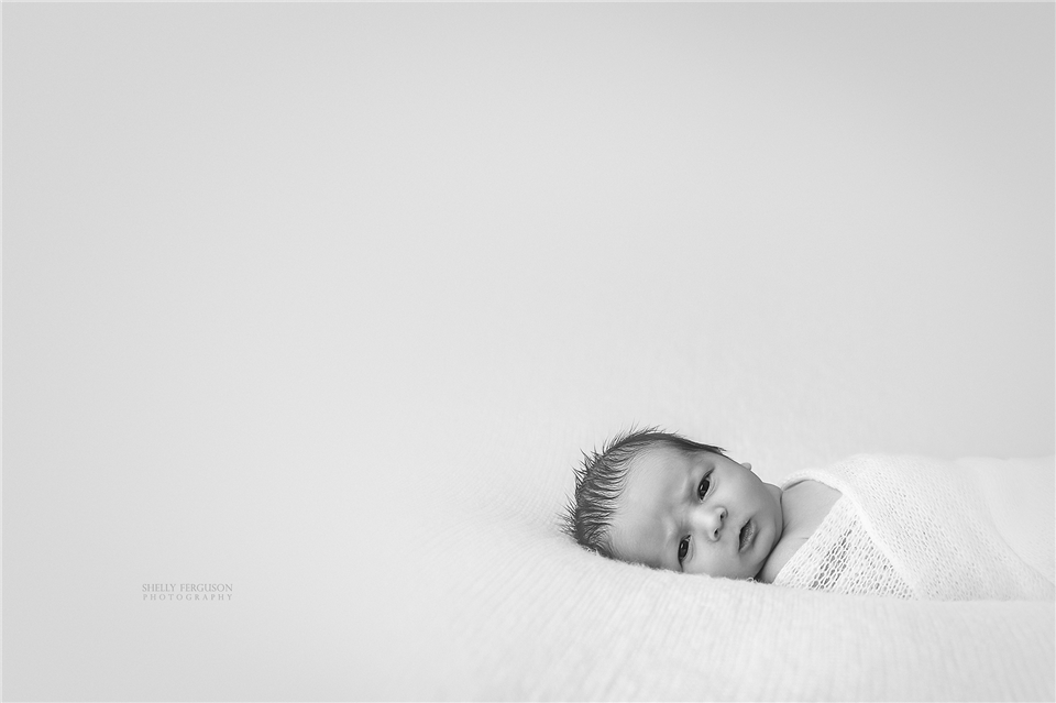 newborn photography community critique photo submitted by Shelly Ferguson - 4 community members set this photo as a favourite image.