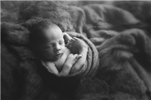 Shelly Ferguson newborn photography