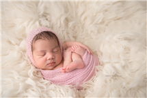 Shelly Ferguson newborn photography