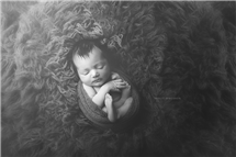 Shelly Ferguson newborn photography