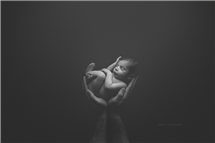 Shelly Ferguson newborn photography