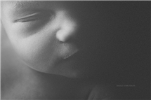 Shelly Ferguson newborn photography