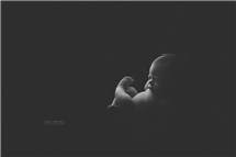 Shelly Ferguson newborn photography