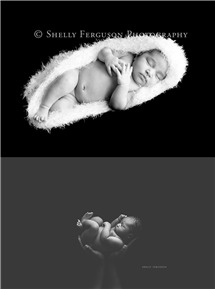 Shelly Ferguson newborn photography