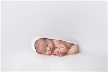 Shelly Ferguson newborn photography