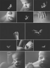 Shelly Ferguson newborn photography