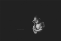 Shelly Ferguson newborn photography