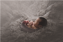 Shelly Ferguson newborn photography